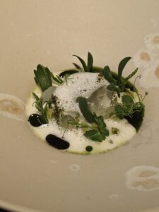 Celeriac - plankton - kaffir lime