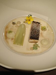 Dry-aged sea bass - fennel - Würzbrunnen mountain cheese
